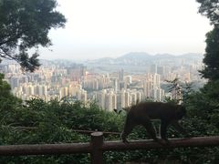 -狮子山郊野公园