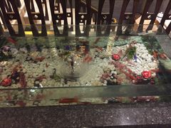 -樱蘭·影院足道·养生SPA(三里屯店)
