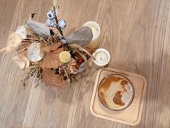 -CAT’S MEWSTAR CAFE·喵星球猫屋(晴湾咖啡店)