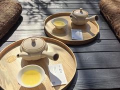 -大连植物园
