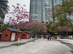 -天河体育中心