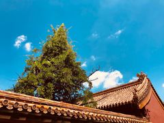 -故宫博物院(故宫)