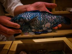 -镹·鱼料理  国产鱼使用店