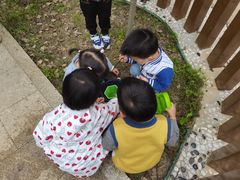 -蒙蒙狮蒙台梭利儿童之家