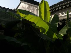 -苏州园林博物馆