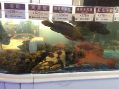 -金苑海鲜酒家(来魅力店)