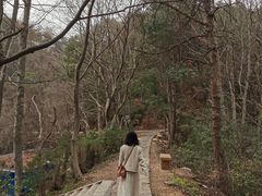 -青龙山国家森林公园
