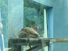 -青藏高原野生动物园