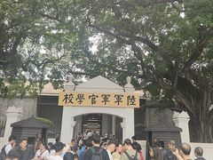 -长洲岛