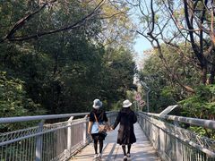 -佛山华盖山公园