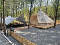 -森林小栈TreeStation露营基地