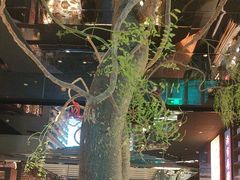 -桂满陇·海市蜃楼·黑金(国金店)