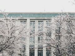 -武汉大学-樱园