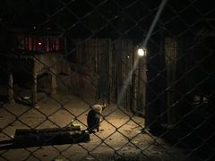 -清迈夜间动物园