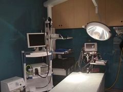 -爱诺耐芙动物医院(万博店)