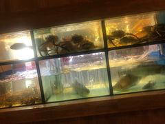水产区-许家菜(望江店)