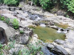 -广州白江湖森林公园