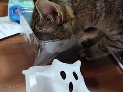 -多乐之日(颐堤港店)