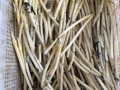 -洪湖生态旅游区