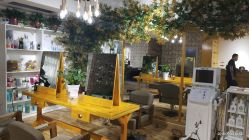 -明洞造型精品烫染