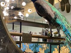 -雀蓝川菜(奥体广场店)