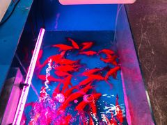 -三旗百汇商品城