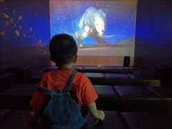 -恐龙探索乐园(磁器口店)