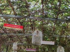 -武汉紫薇都市田园