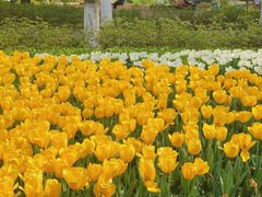 -玄武湖景区-情侣园游乐场