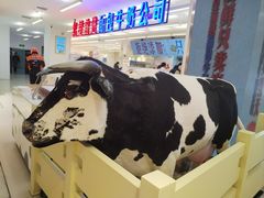 -红星前进面包牛奶公司(君太店)