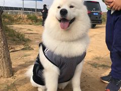-波浪谷