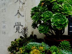 -寂照庵