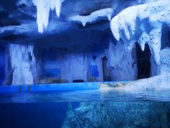 -多彩贵州城极地海洋世界