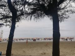 -江山半岛白浪滩景区