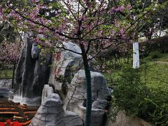 -南山植物园