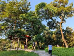 -广州市白云山风景名胜区