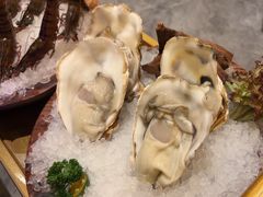 -二刀潮牛(重庆光环购物公园店)