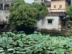 -烟桥古村