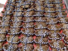 -果蔬好生活超市(乐堤港店)