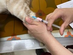 -美联众合动物医院·24h京西诊疗中心