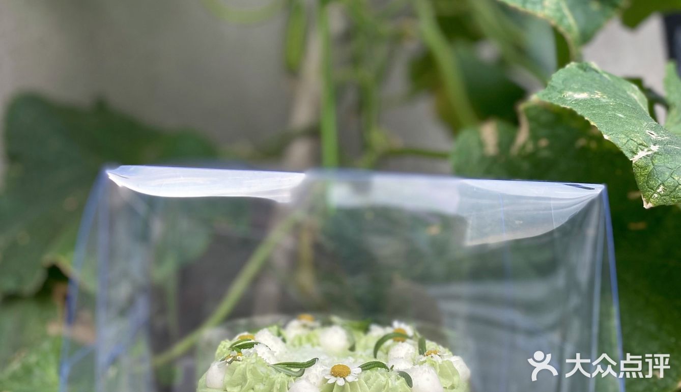 爱了这口奶油蛋糕🍰