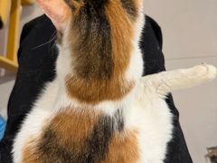 -平行世界·猫咖(首经贸店)