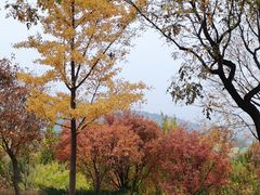 -北京西山国家森林公园