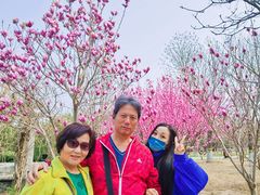 -永定河休闲森林公园