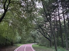 -长春市南湖公园