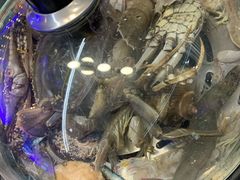 蒸汽海鲜-乔哥铭洋海鲜自助(皇城恒隆广场店)