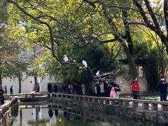 -西园戒幢律寺