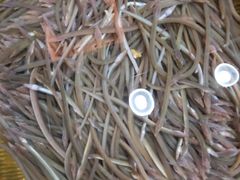 -东江海鲜酒家(艺都分店)