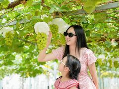 -上海嘉定喜来登酒店