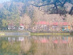 -庐山风景区花径公园